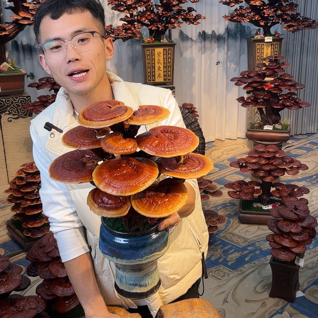 无花朵88888888888