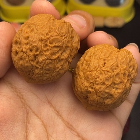 文玩核桃把件40尺玄武元宝