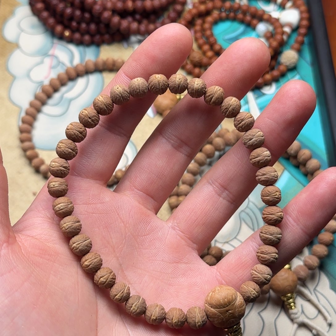 孟***凤眼菩提吊坠酸枣核凤眼菩提