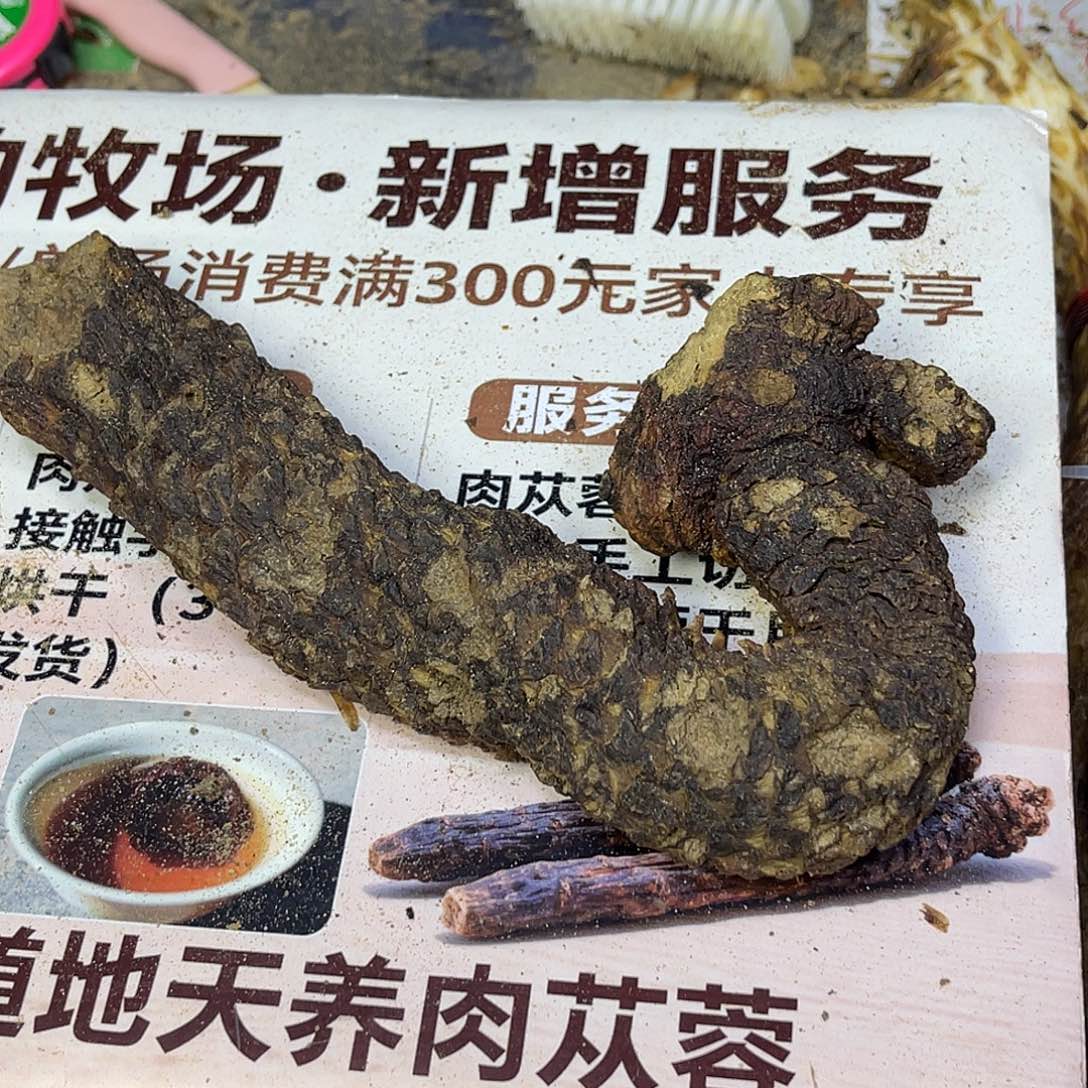中国大陆老根310克23厘米