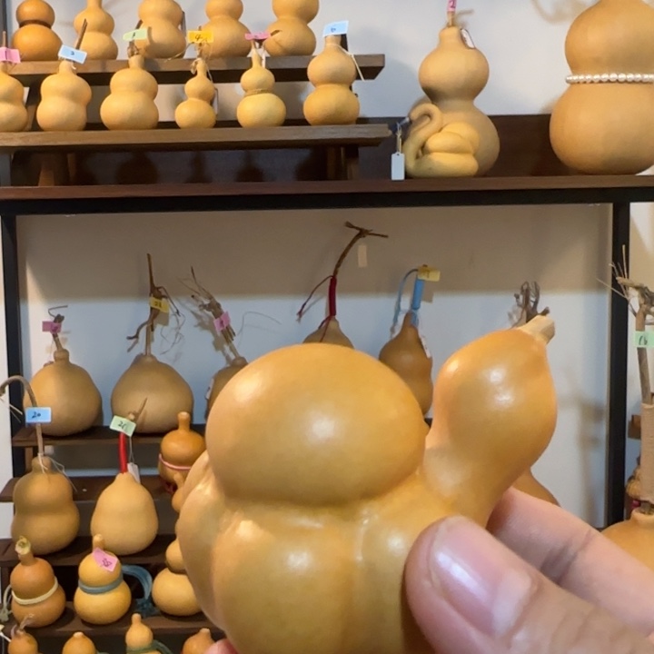 乌龟乌龟乌龟乌龟