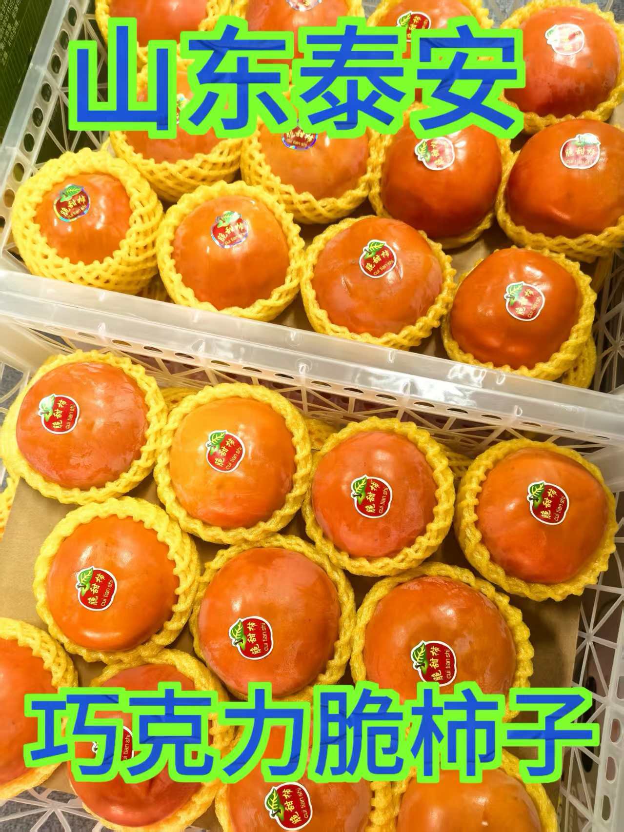 巧克力脆柿子当季甜皮特大不涩口