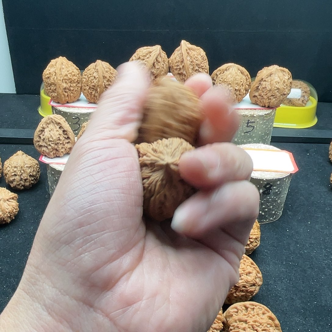 文玩核桃把件?****头南疆文玩核桃手把件