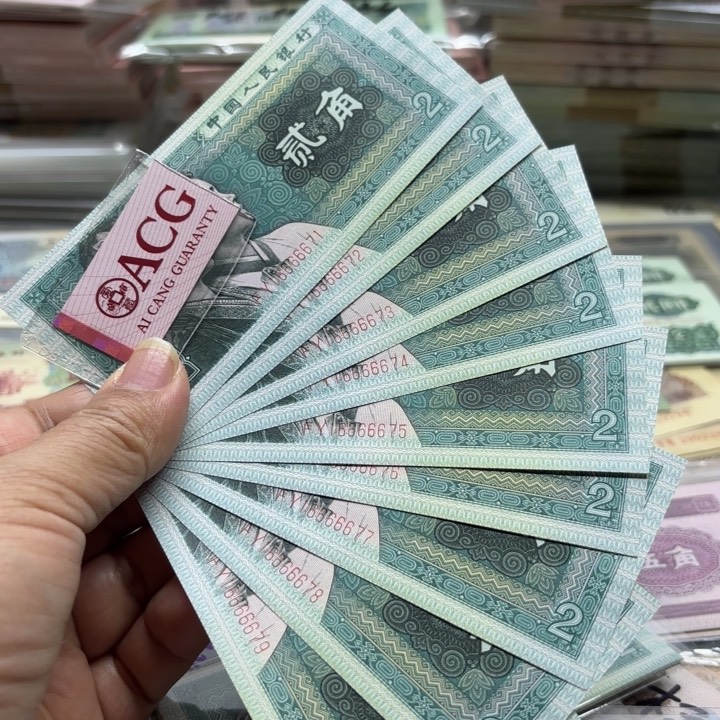 8002，9连，中老虎66666———————