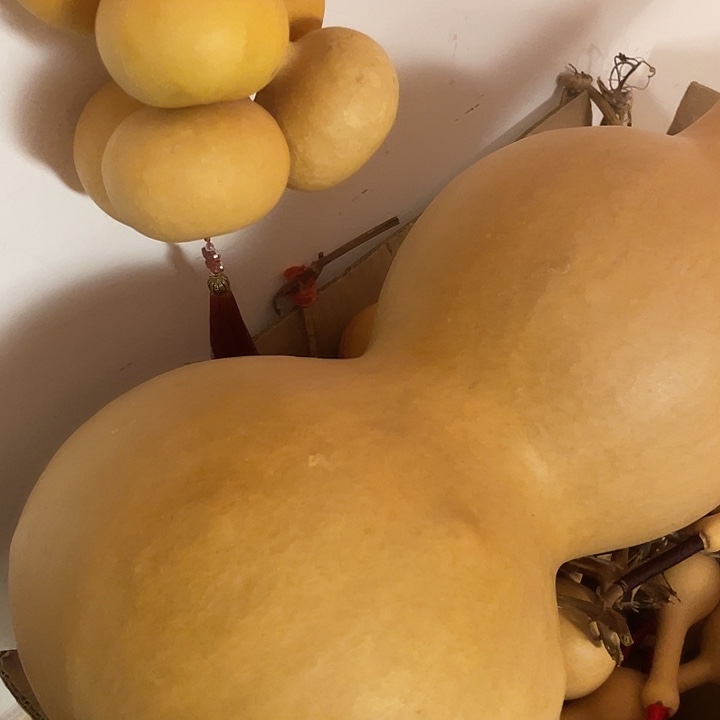 痛***快遂成书者皆可知所不信其有罪