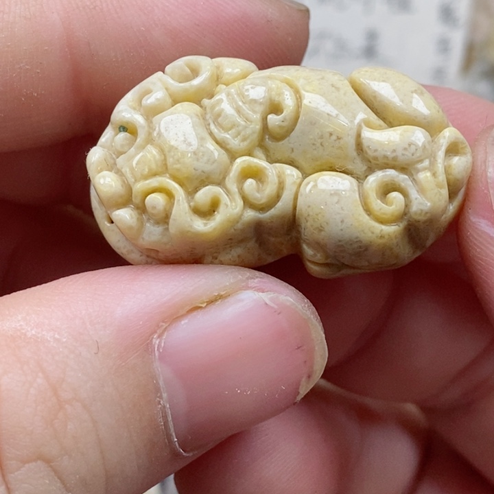 颈饰未镶嵌硅化珊瑚（珊瑚玉）小