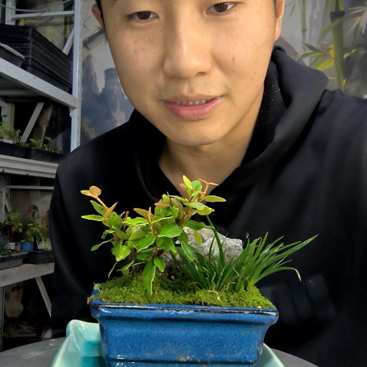 嘞**猫中青园艺一物一拍113