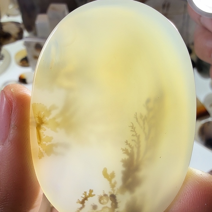 玛瑙/玉髓未镶嵌珠宝半成品