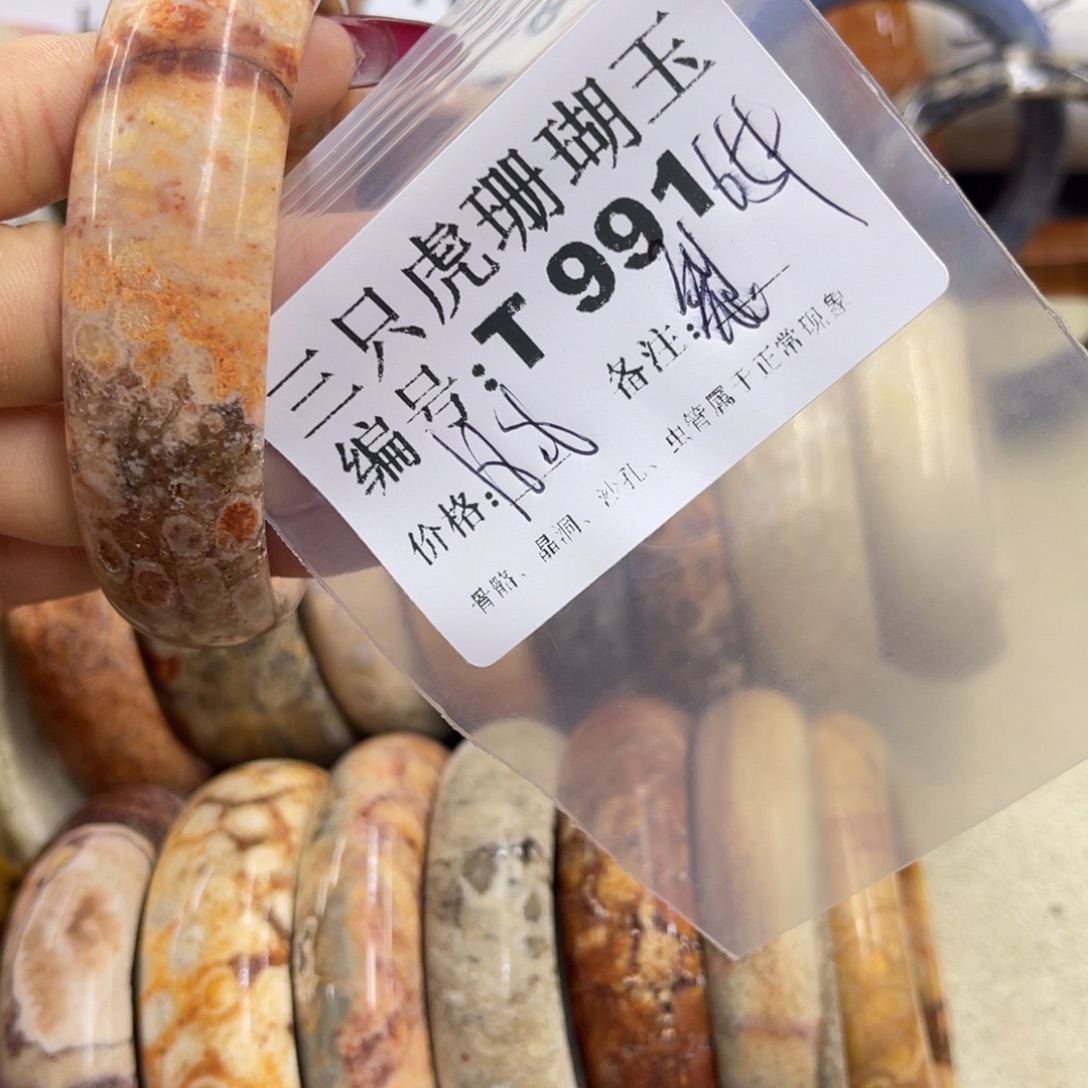 仙***草硅化珊瑚（珊瑚玉）未镶嵌h