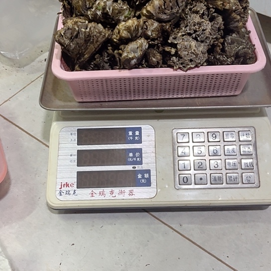 鸡纵超好吃中国大陆