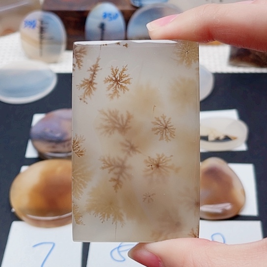 玛瑙/玉髓珠宝奇石未镶嵌