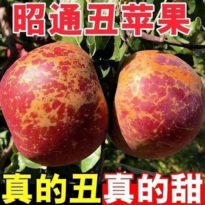 【脆甜多汁】正宗云南昭通现摘现发冰糖心丑苹果脆甜多汁甜苹果sbx