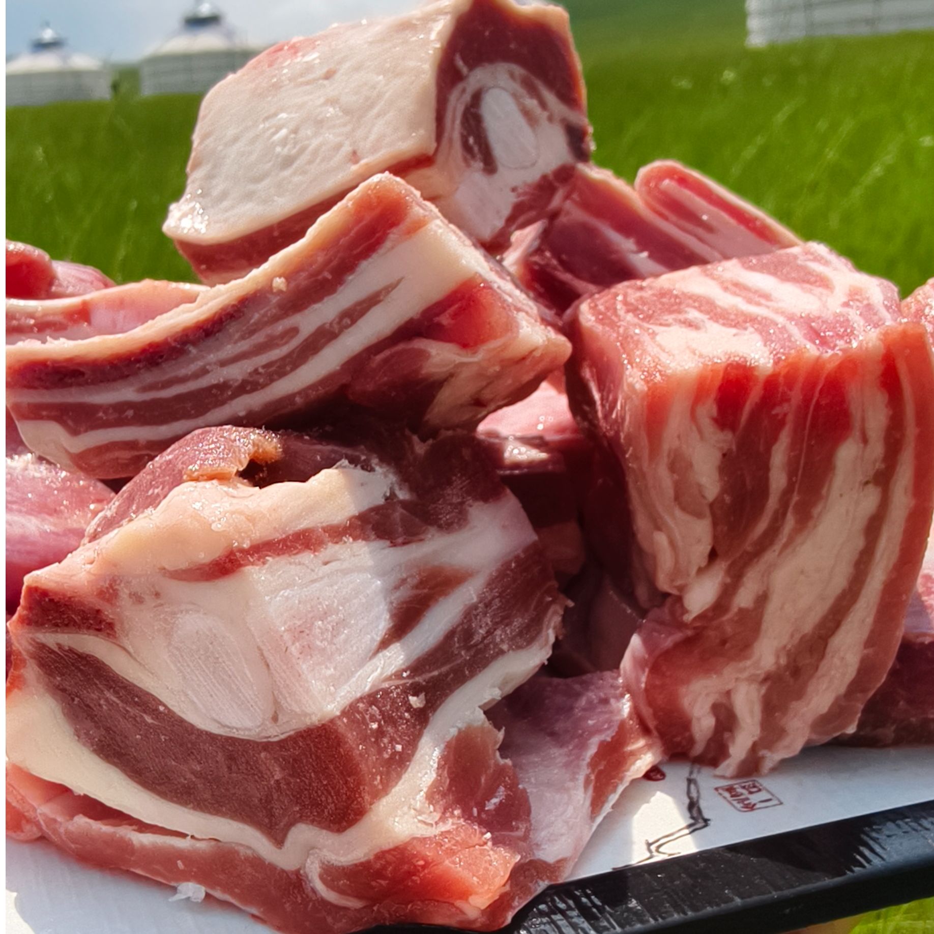 恩牧施内蒙古锡林郭勒盟正宗草地散养溜达羔羊排【切块发货】