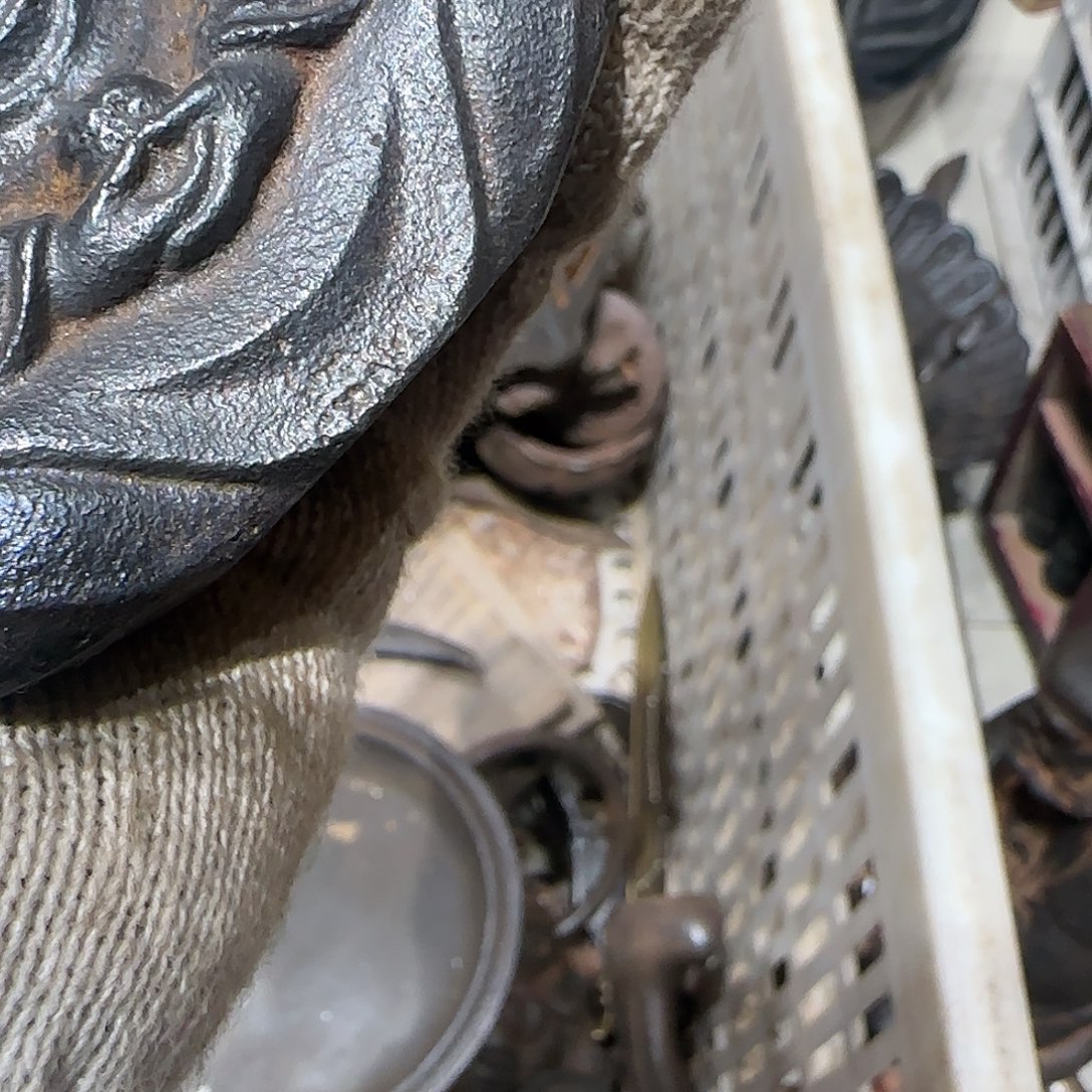 老***昂一物一图看好在拍