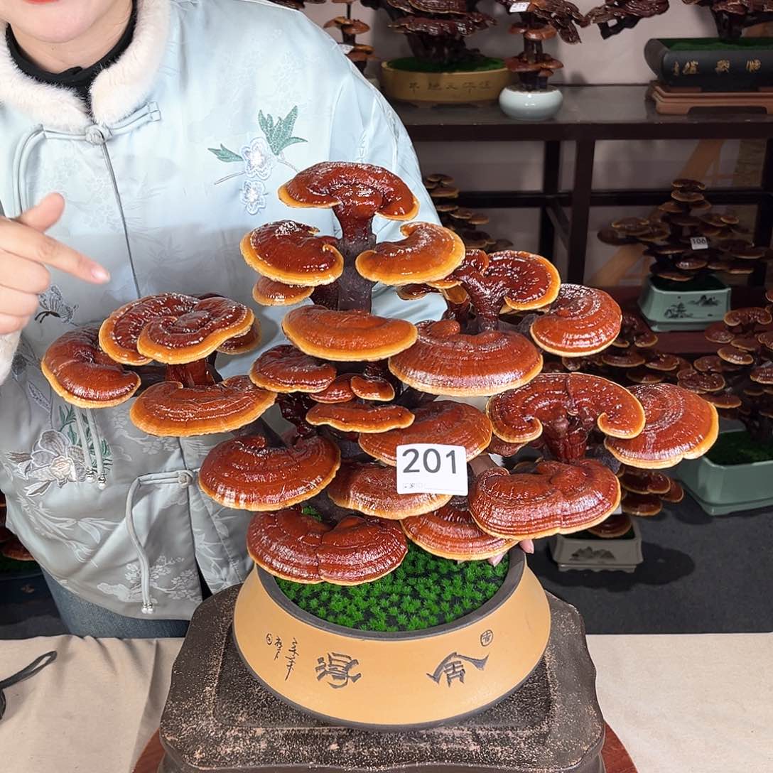 万事如意8888888201