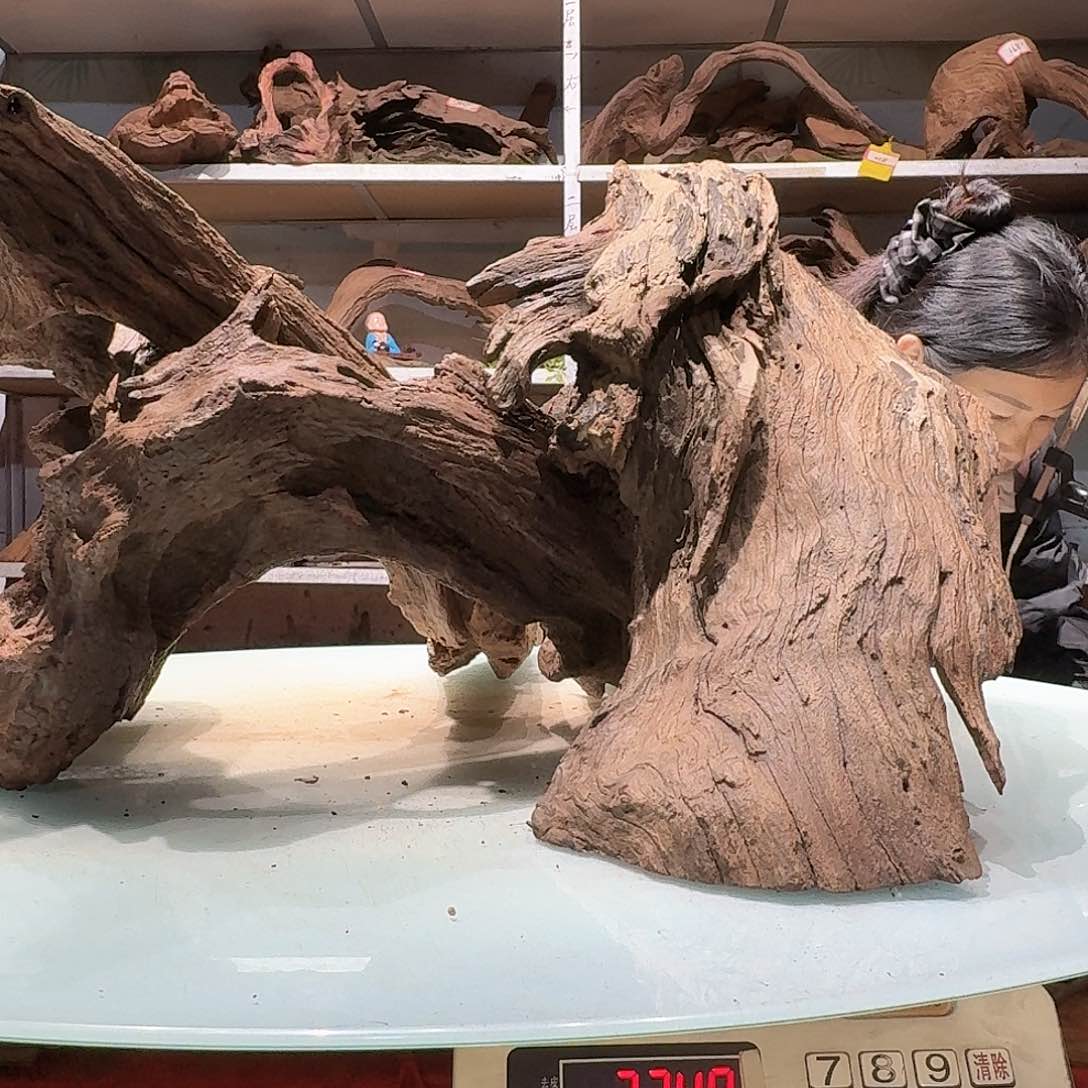 倍诸沉木不包损必褪色新**16500-3