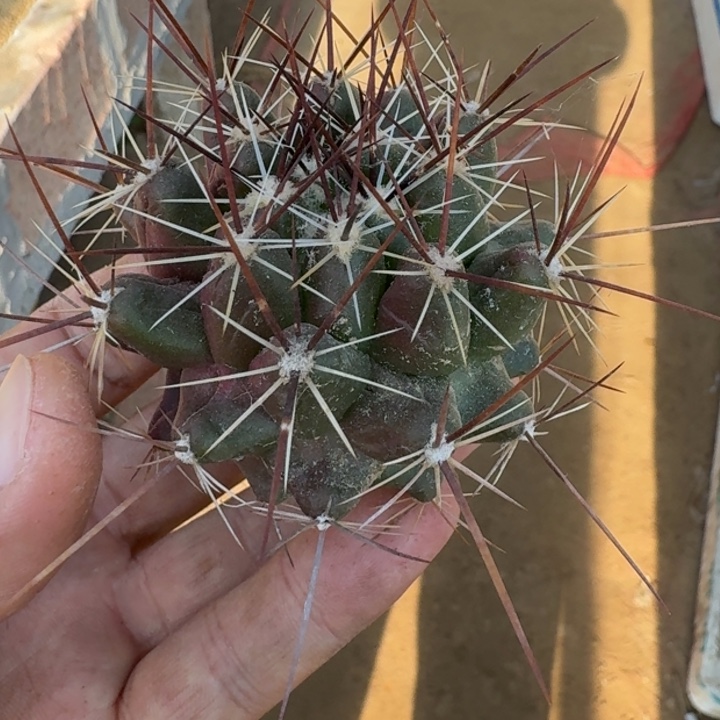 下播福利3333333333