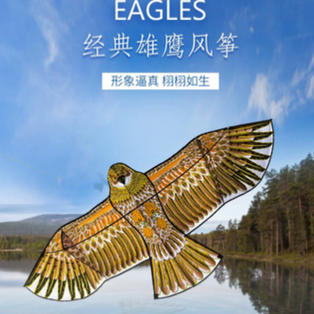 没轮线【前撑老鹰】潍坊传统前撑杆子老鹰新手小白一拉起飞