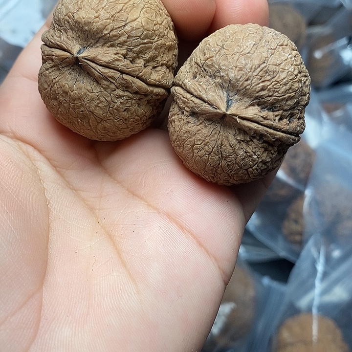 文玩核桃把件      12