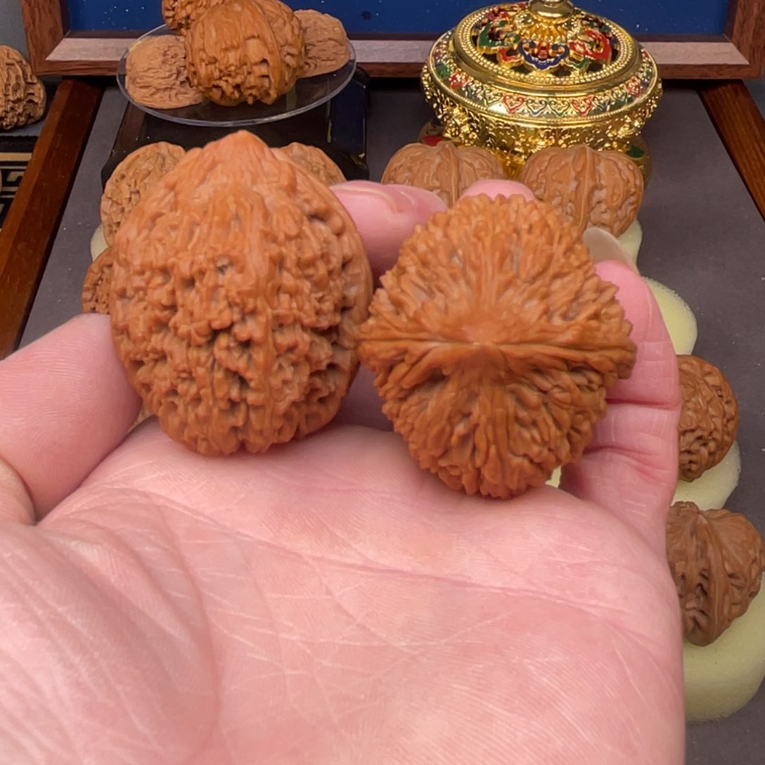 核桃把件35:蒜头全品