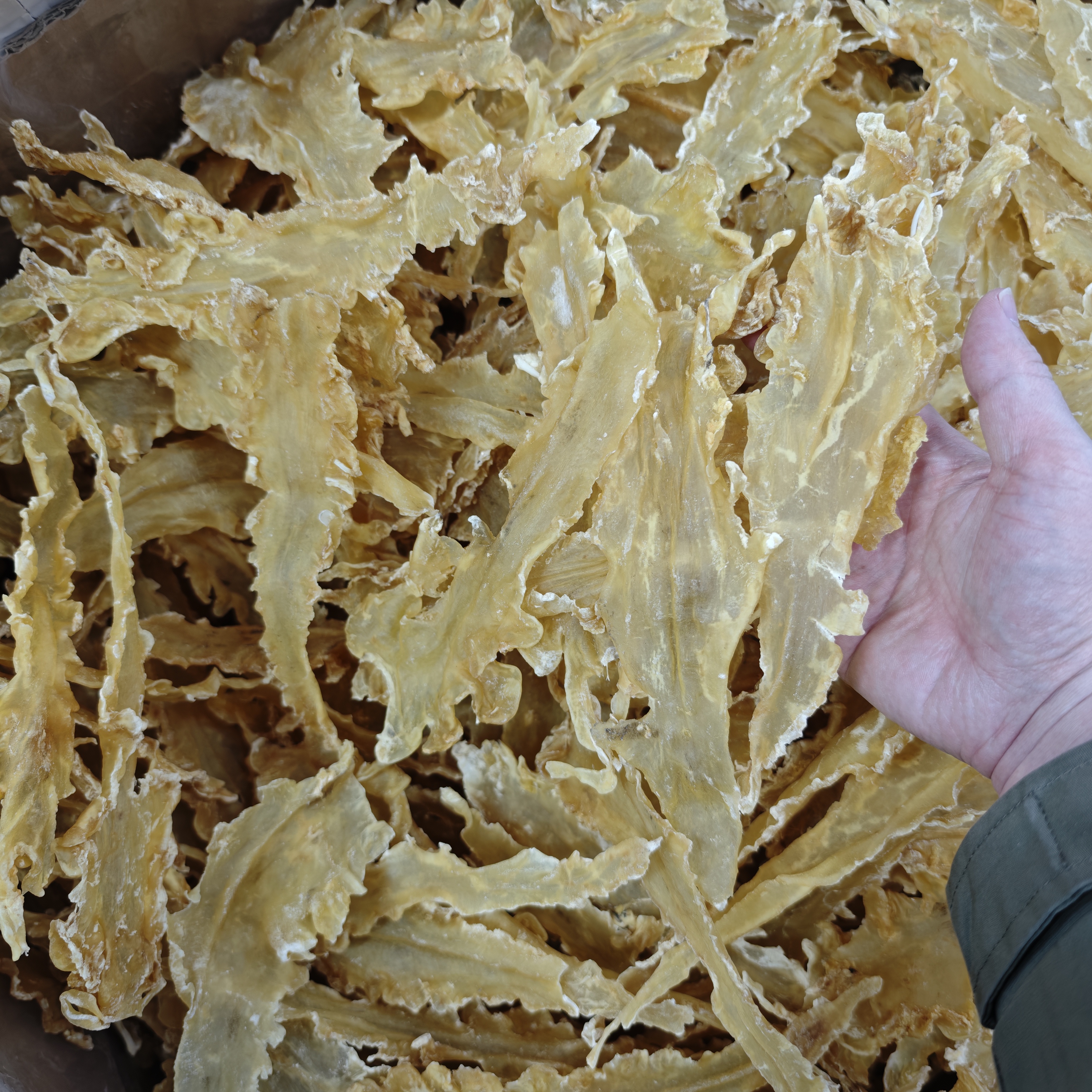 【珍渔意】鳕鱼胶约35头鱼胶花胶煲汤料鱼肚干足干深海花胶