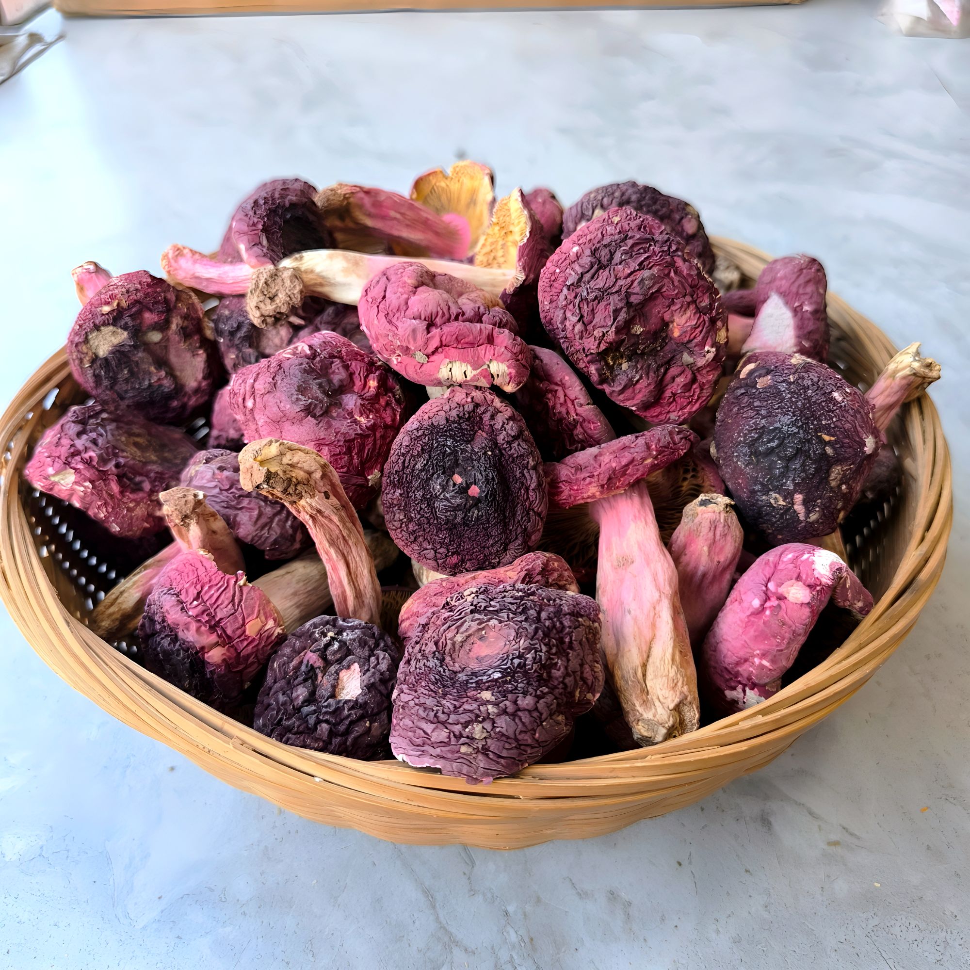 福建三明野生红菇干货蓝底正红菇营养美味