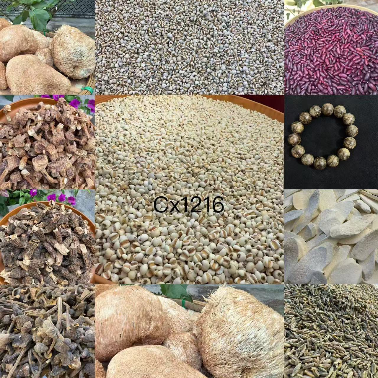 （文总专用土特产）CX1216多样性发货 重量30克左右