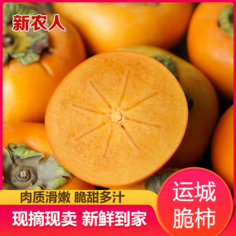 SS【冰糖心巧克力脆柿】2025年新鲜采摘香甜多汁山西阳丰脆柿果园