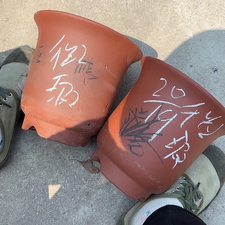 紫泥花盆紫砂花盆