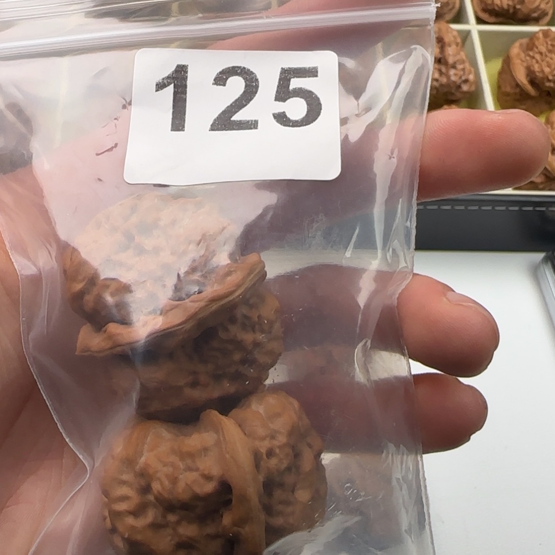 文玩核桃天花板41