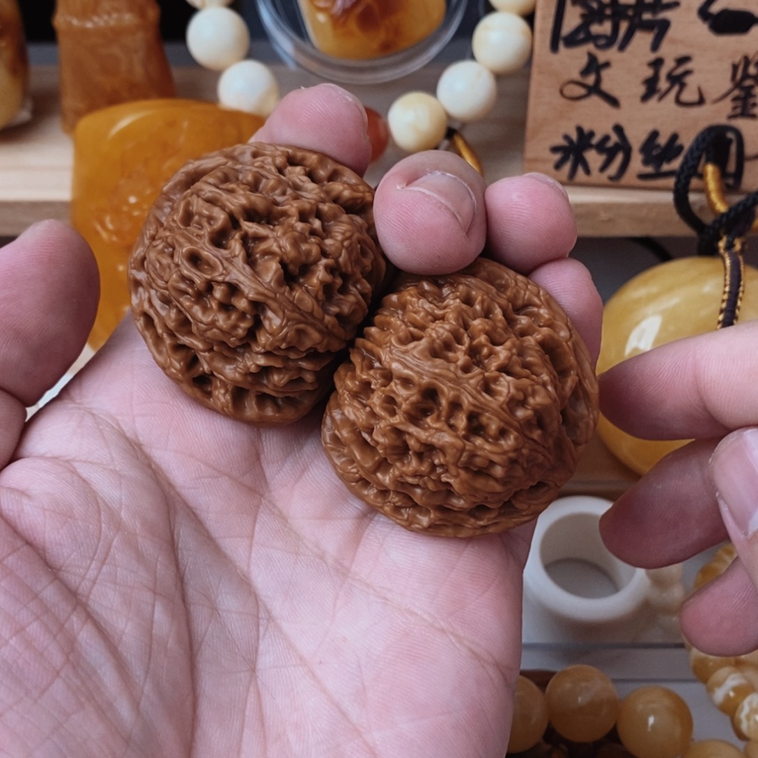 菩提籽类南疆全品
