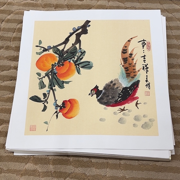国画花鸟等多种鸟类和50.50