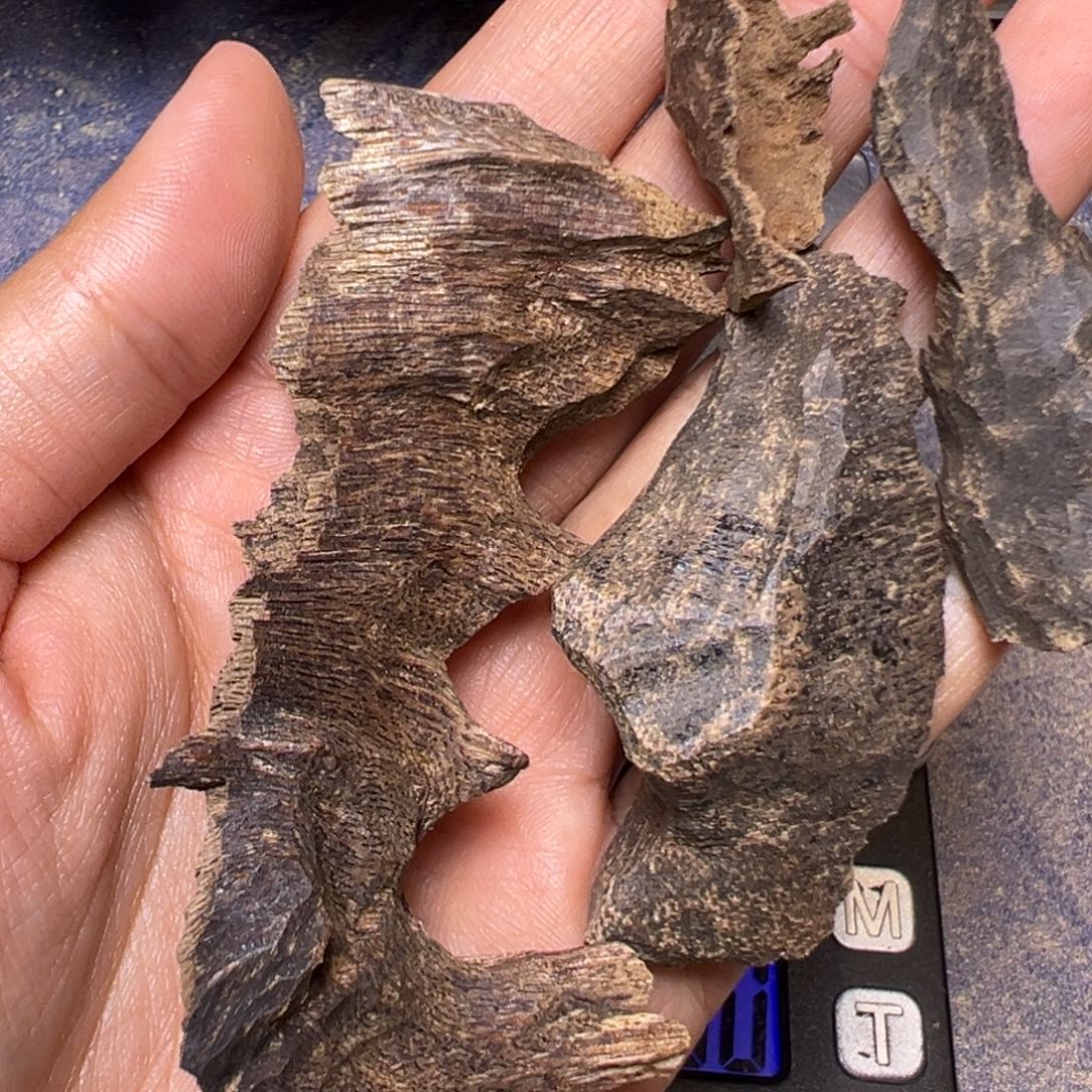 沉香沉香碎屑芽庄冷钻老料12克③