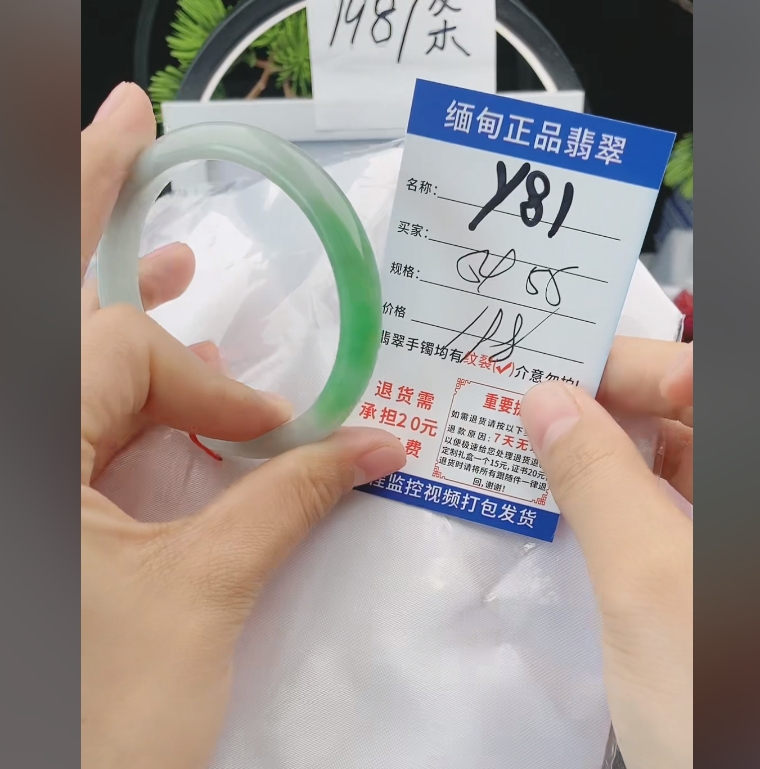 Y81缅甸翡翠手镯处理198/条【一物一证】实物以直播间为准