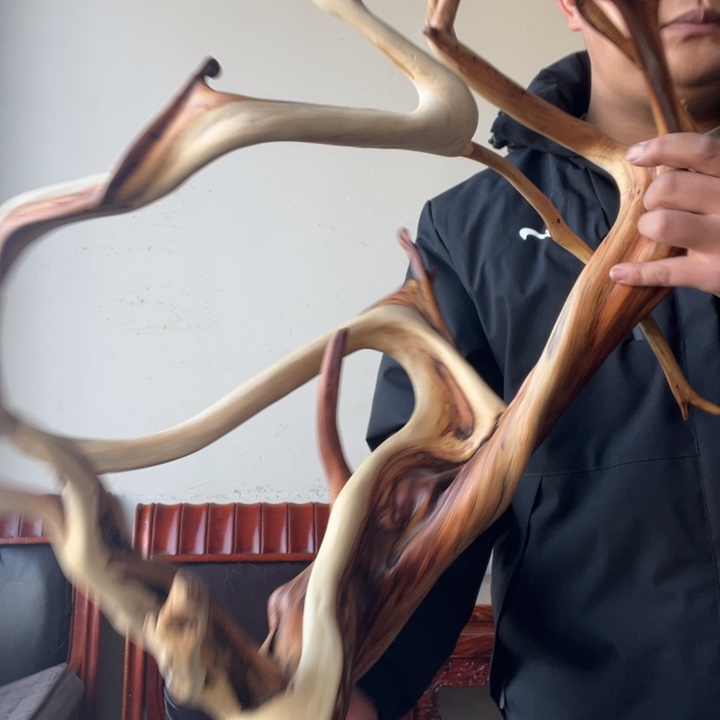 一***画柏木太行崖柏摆件