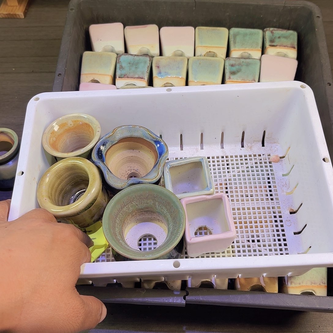 财***尖一物一拍一筐11111