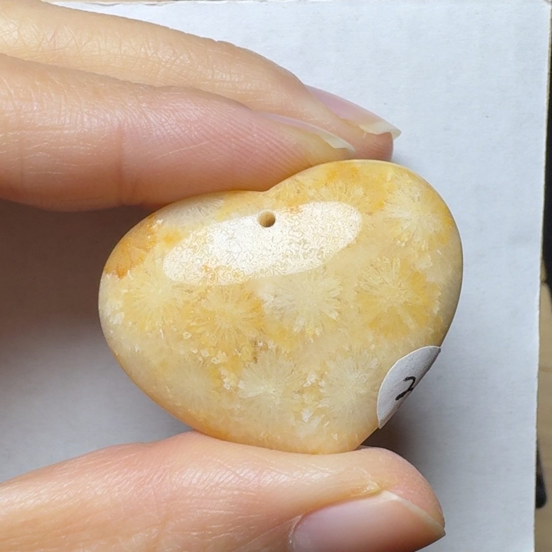 硅化玉深黄花未镶嵌