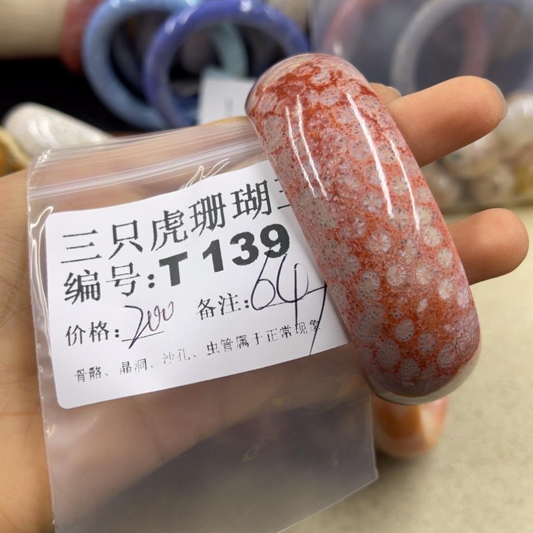 迷****硅化珊瑚（珊瑚玉）未镶嵌h