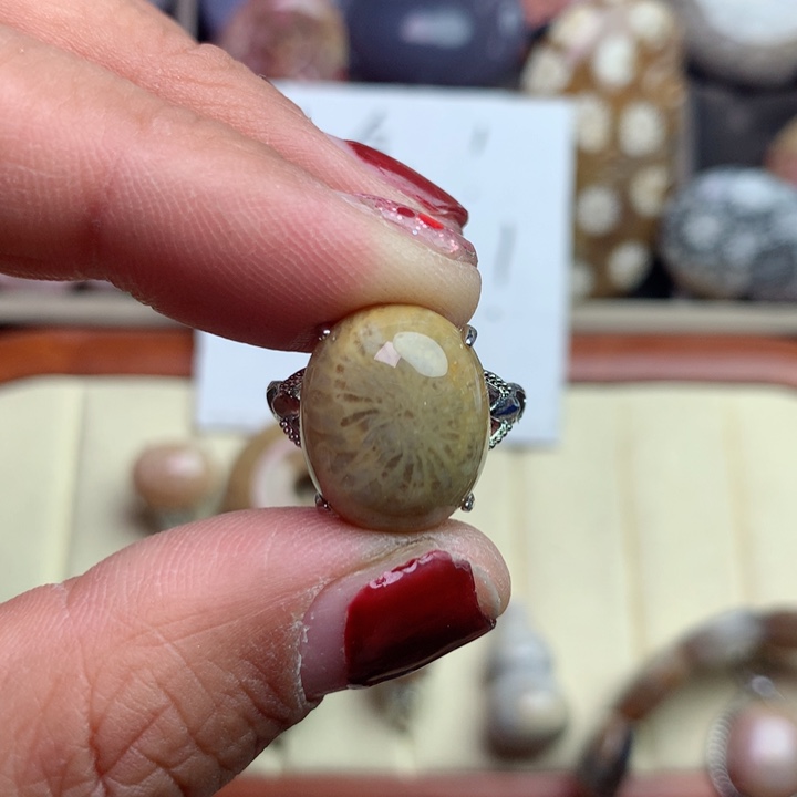 硅化珊瑚（珊瑚玉）颈饰未镶嵌