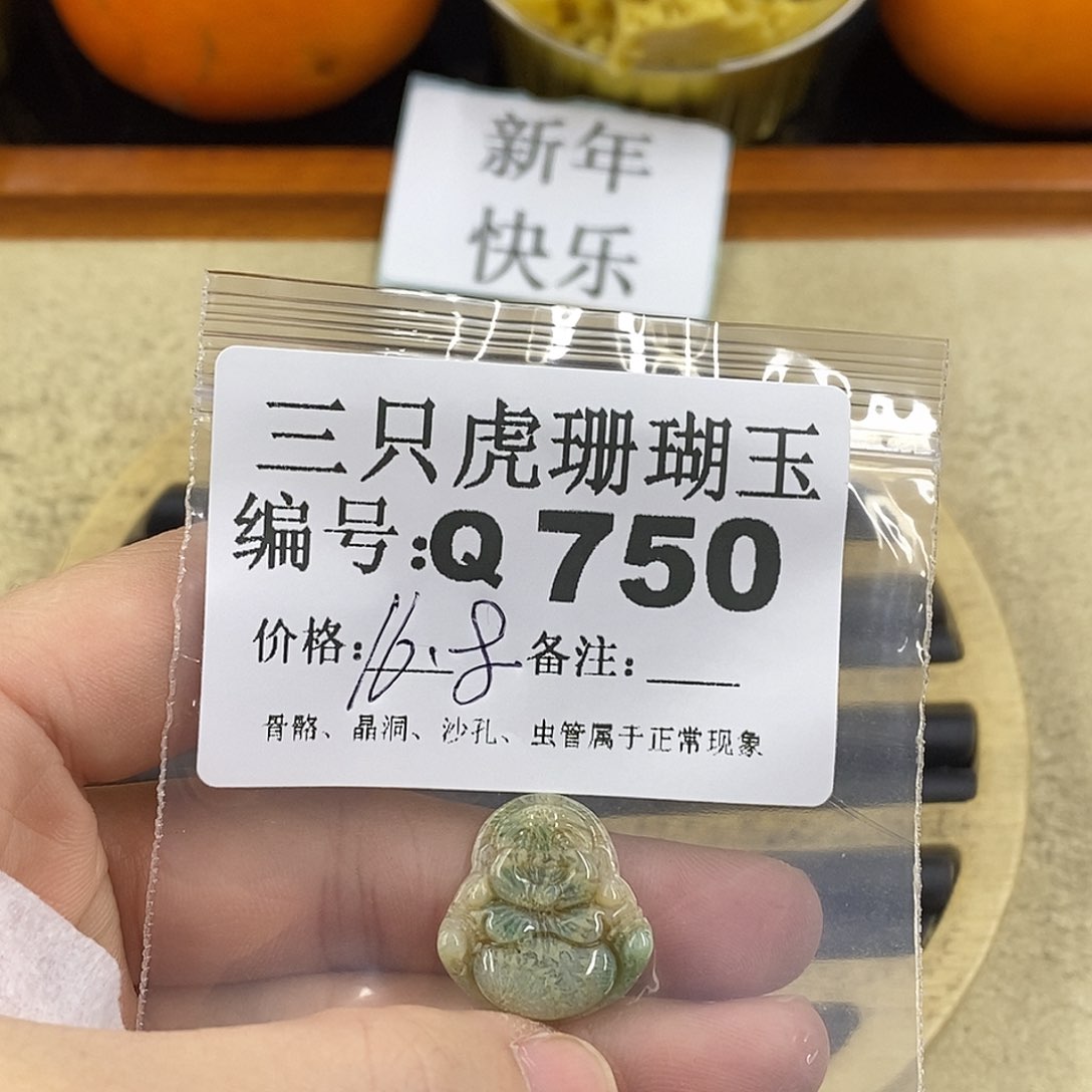 硅化珊瑚（珊瑚玉）1未镶嵌卿*