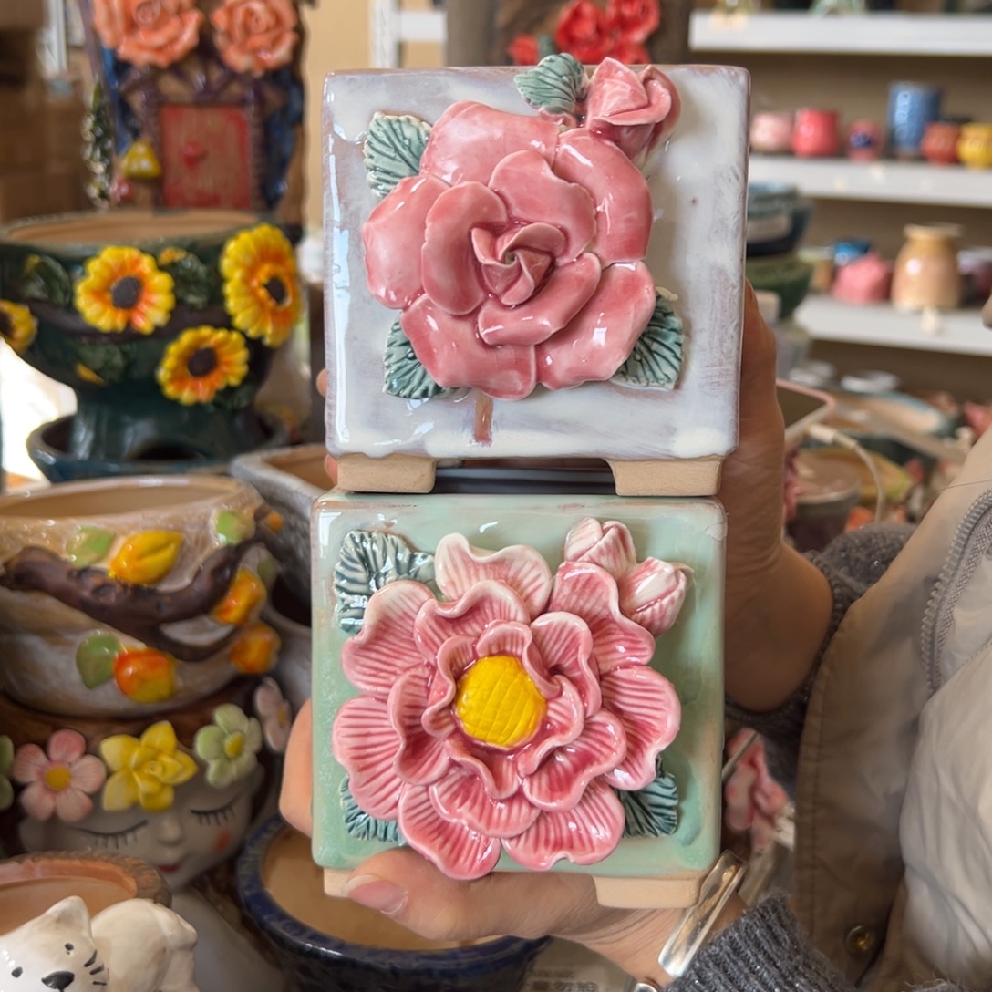 花盆，拍满20发货，退款拉黑