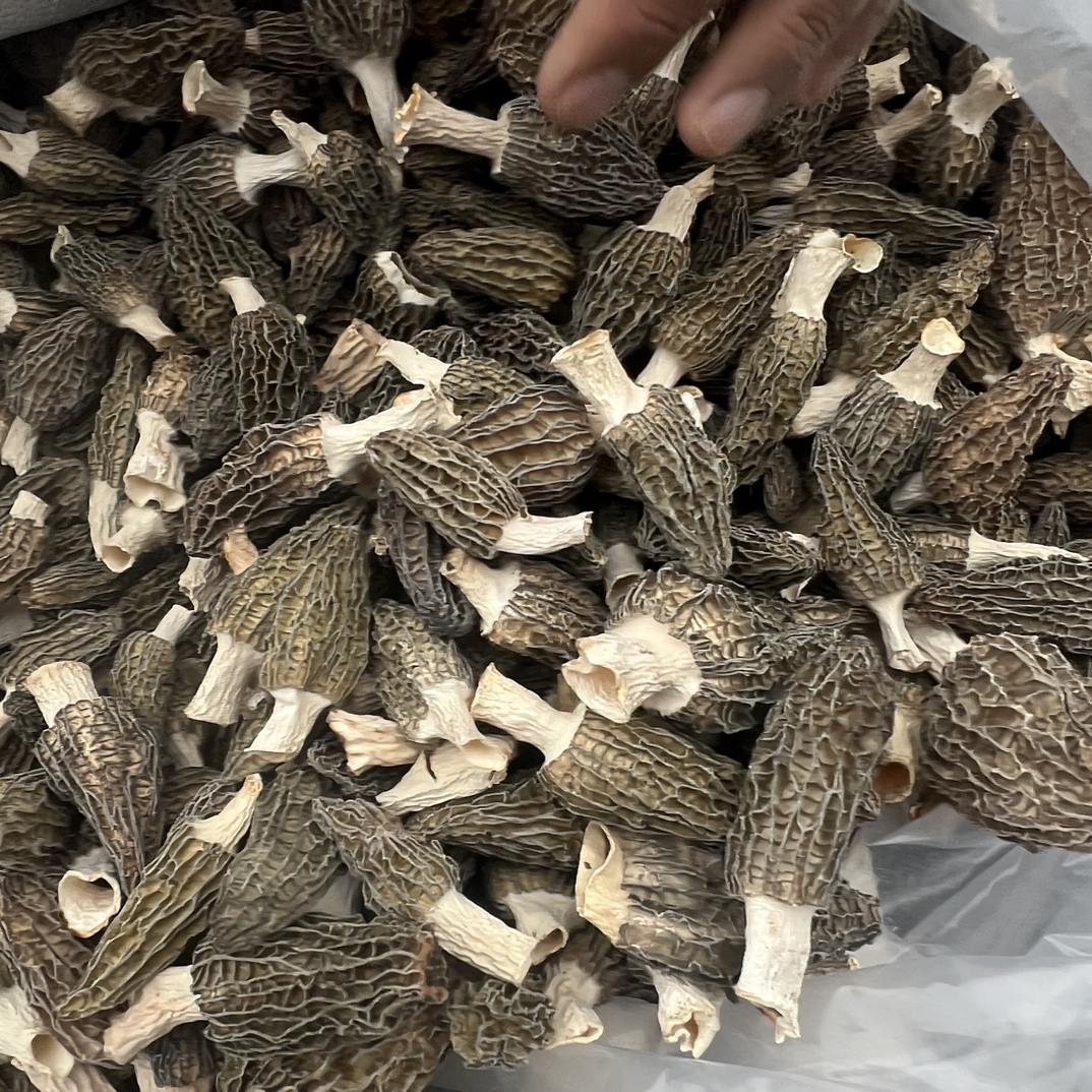 下播新七妹羊肚菌1227