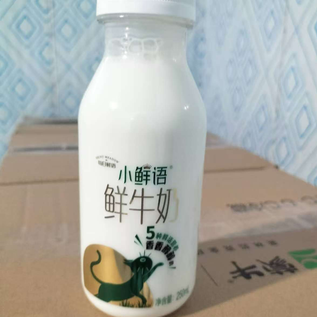 蒙牛小鲜语鲜牛奶 250ml