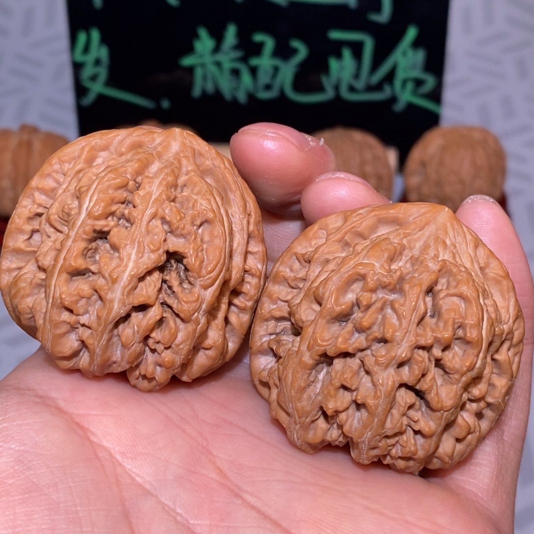 43.5尺粗筋 全品无修 白茬