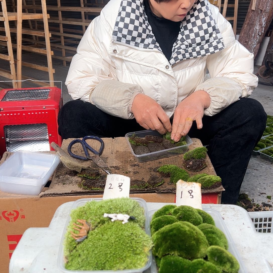 DJDJ几点就几点随时