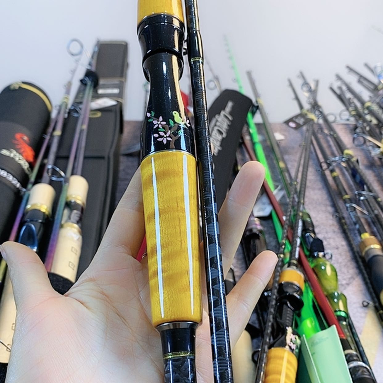 【闪购商品】碳素杰克逊 金丝景木