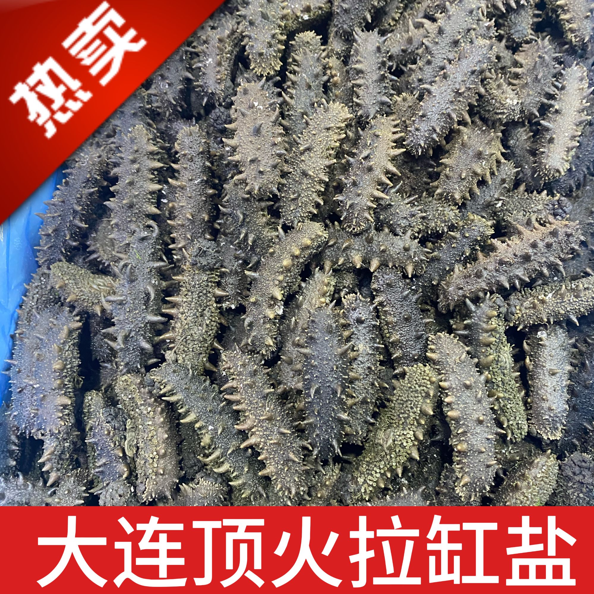 【双十一特惠】大连顶火拉缸盐海参半干海参高泡发深海底播原料