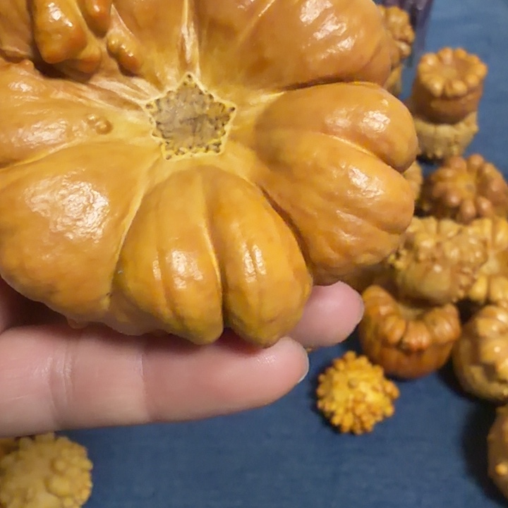 *****墨西哥七彩疙瘩葫芦