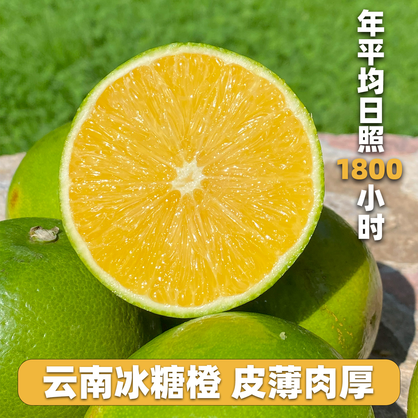 正宗云南冰糖橙哀牢山青皮橙子5斤应季新鲜水果皮薄多汁现摘包邮