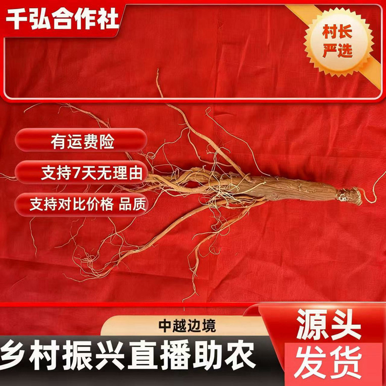 6【村长严选】源自农家【龙须红参】